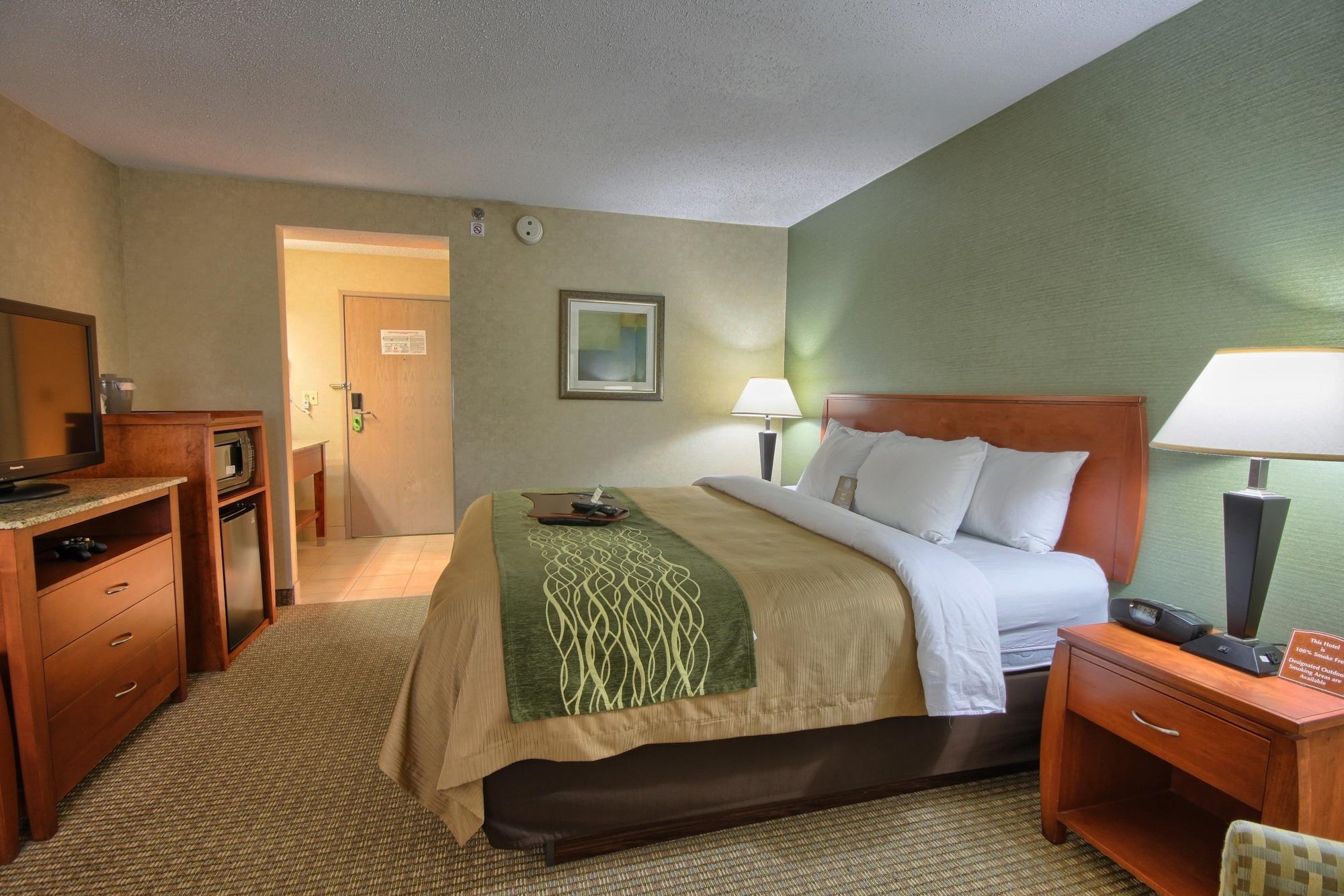 Comfort Inn Near Greenfield Village Dearborn Kültér fotó